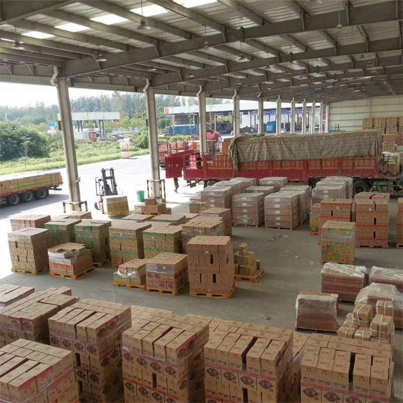 乌苏市吉阳区物流：多元服务与运输线路探秘