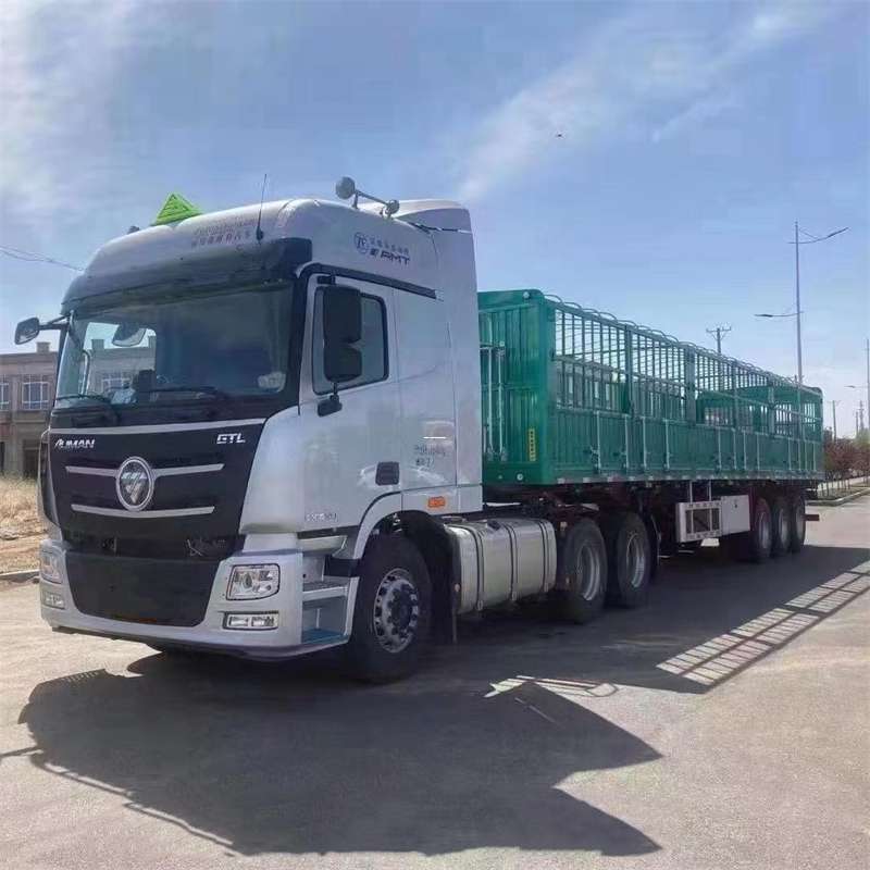 乌苏市石龙区物流：多元服务与高效运输线路探秘