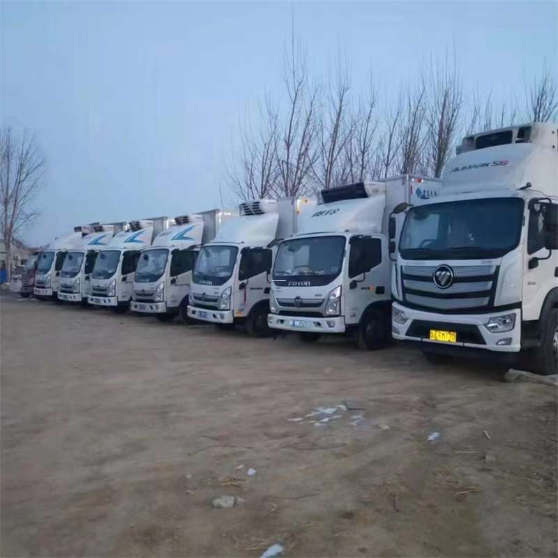 乌苏市福清市物流：多样运输服务与高效线路探秘